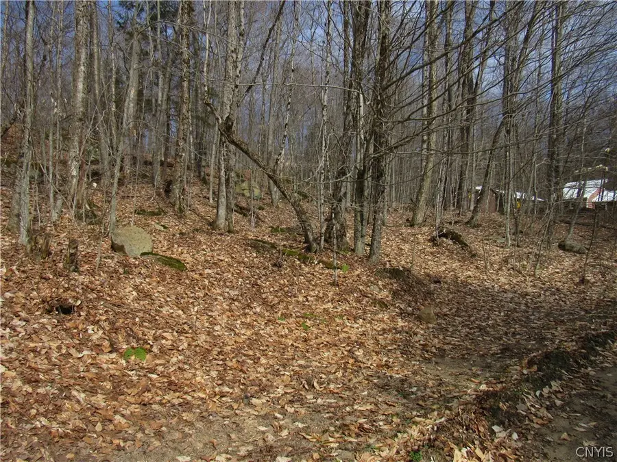 Capron Road W, Forestport, NY 13338 - #2