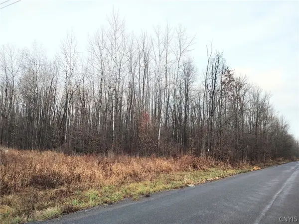 Stephens Road, Canastota, NY 13032