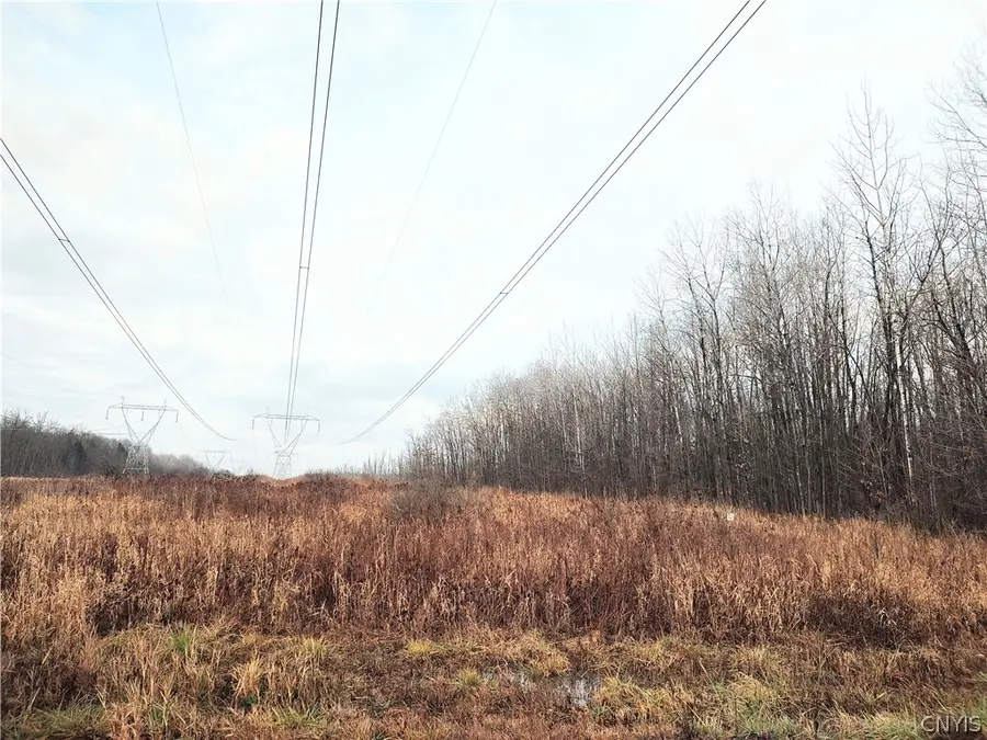 Stephens Road, Canastota, NY 13032 - #2