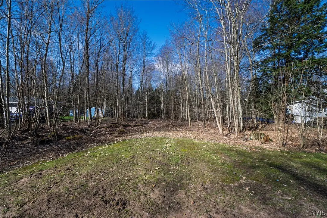 Baum Road, Hastings, NY 13076 - #1