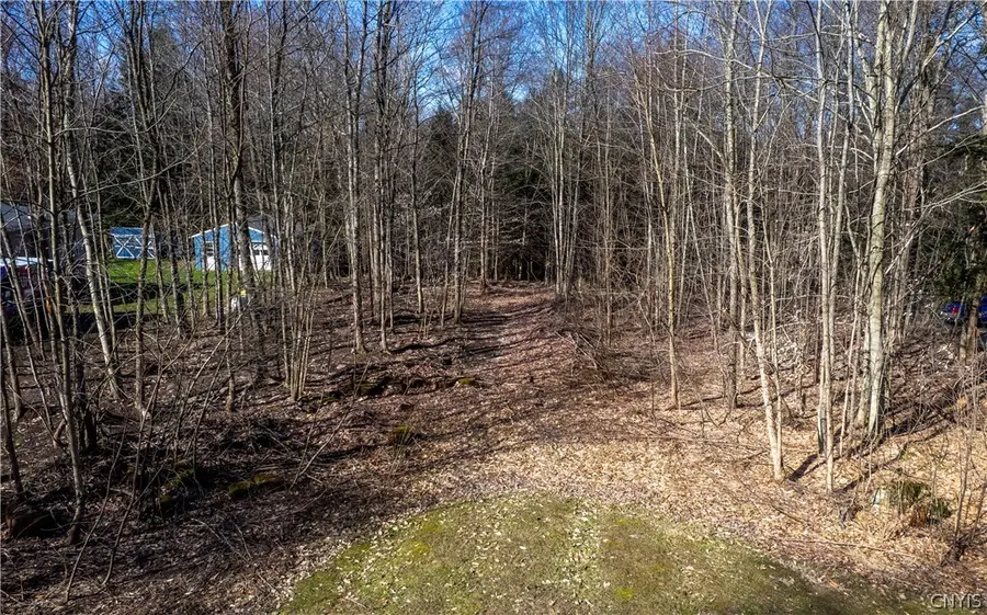Baum Road, Hastings, NY 13076 - #2