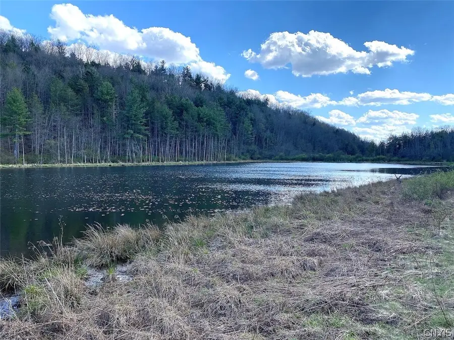 Reddy Road, Belmont, NY 14813 - #2