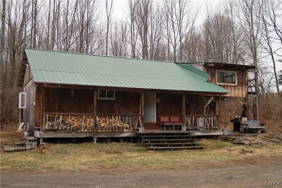 5156 Carr Road, Willet, NY 13863 - #1