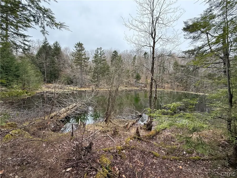 10547 Sulphur Spr Road, Lee, NY 13440 - #3