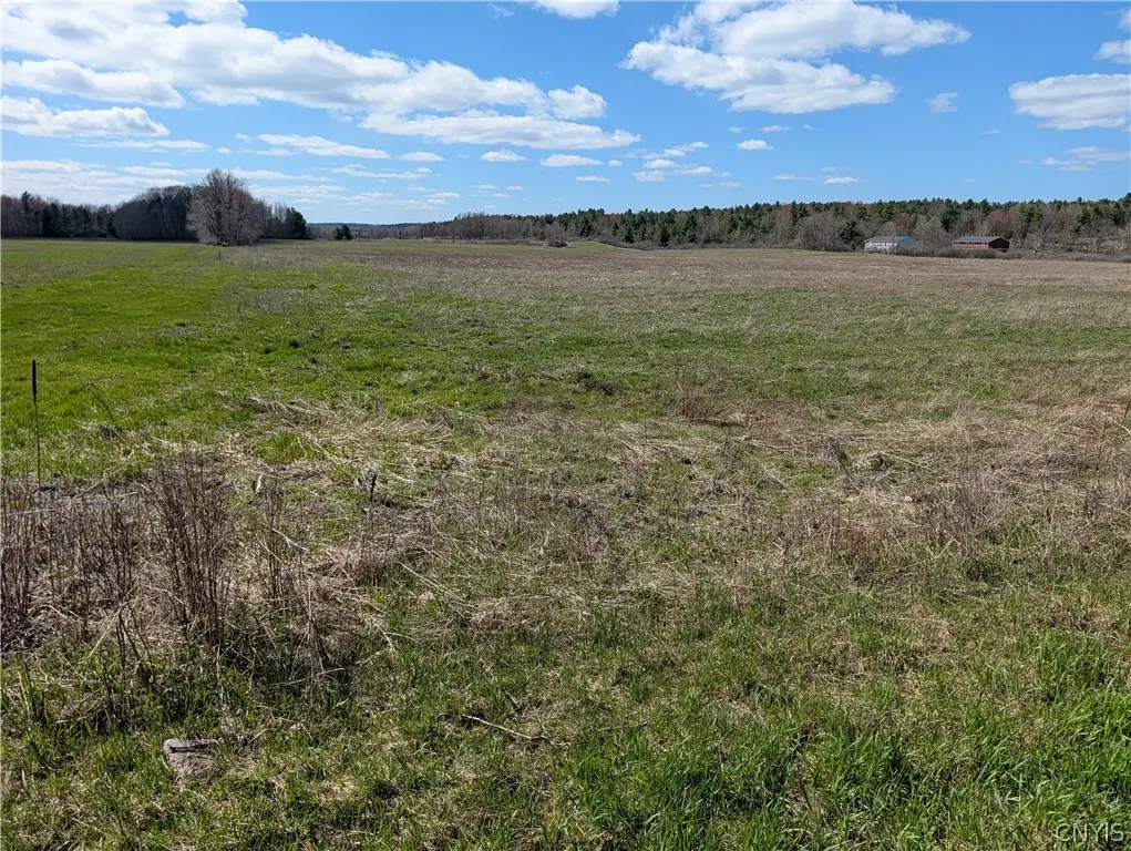 Bald Rock Road, Clayton, NY 13624 - #1