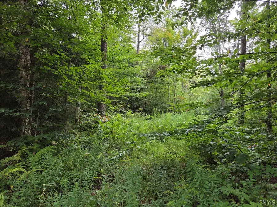 000 William Ernst Road, Lewis, NY 12950 - #2