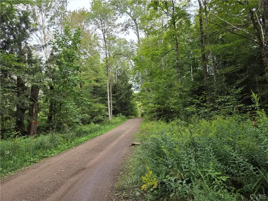 000 William Ernst Road, Lewis, NY 12950 - #3