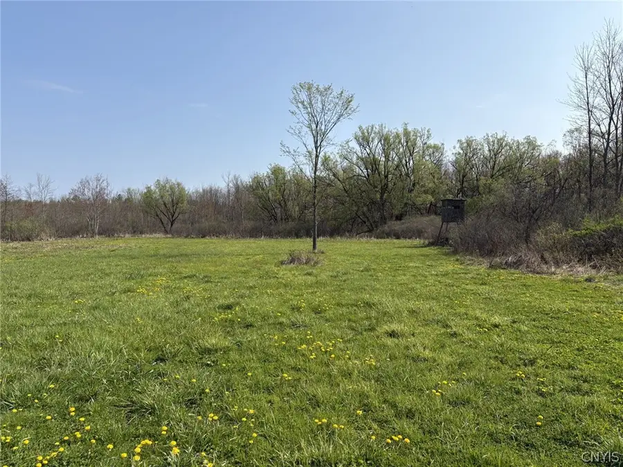 Greenway Lowell Road, Rome, NY 13440 - #2