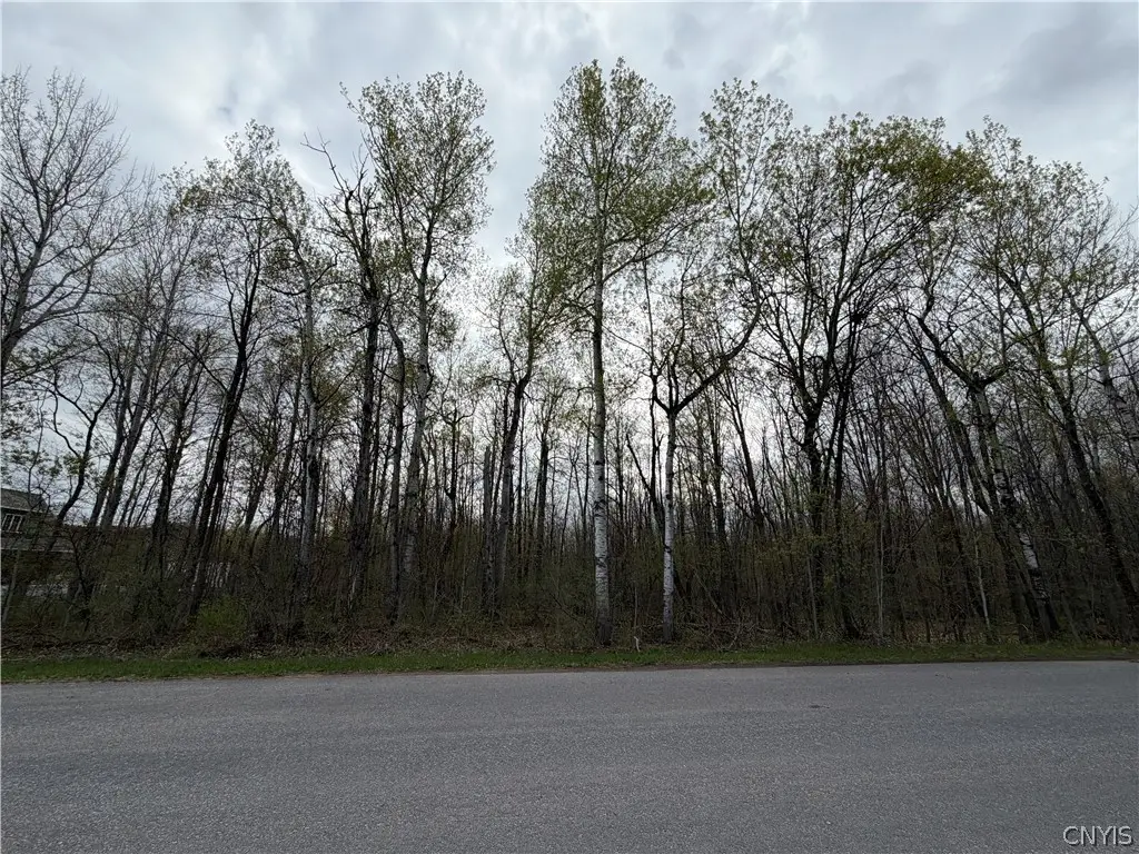 0 Farney Pit Rd, Carthage, NY 13619 - #1