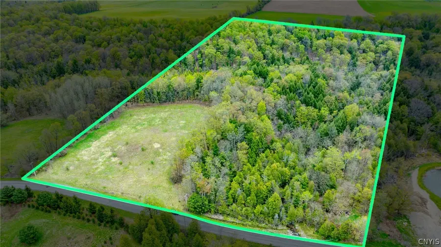 Shephard Road, Fenner, NY 13035 - #2