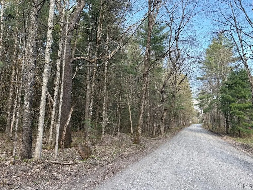 Stormy Hill Road, Cold Brook, NY 13324 - #1