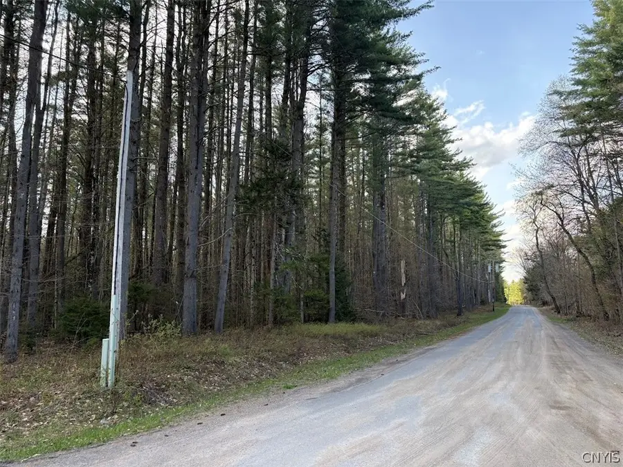 Stormy Hill Road, Cold Brook, NY 13324 - #3