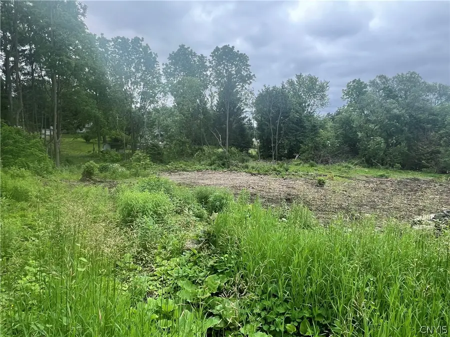 Franklin Street, Homer, NY 13077 - #3