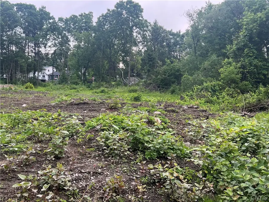 Franklin Street, Homer, NY 13077 - #3