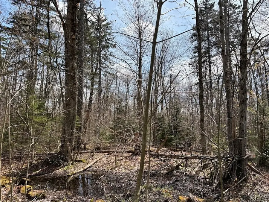 1438 Gregory Road, Camden, NY 13316 - #2