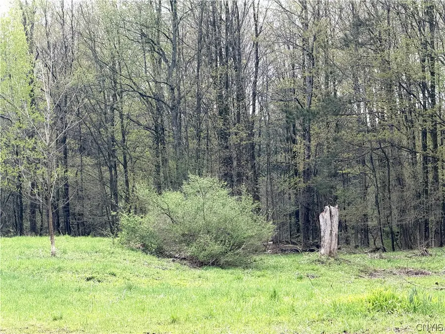 83 Van Auken Road, Lacona, NY 13083 - #2