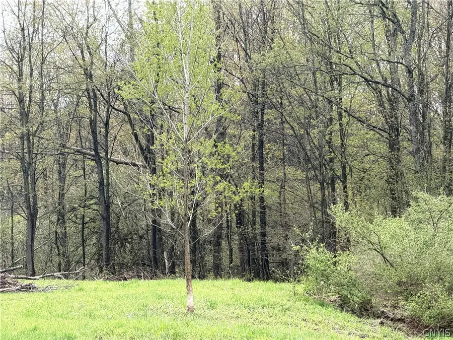 83 Van Auken Road, Lacona, NY 13083 - #3
