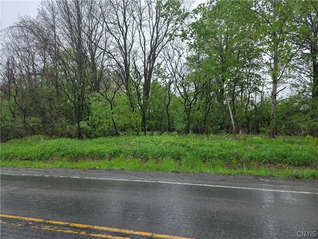6158 Quarry Road, Canastota, NY 13032 - #1