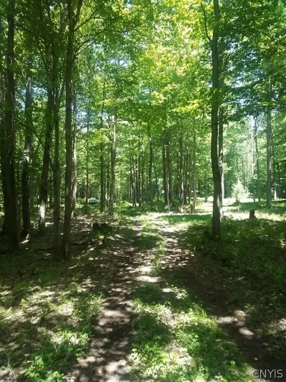 #2 Tamblin Ridge Trail, Constantia, NY 13028