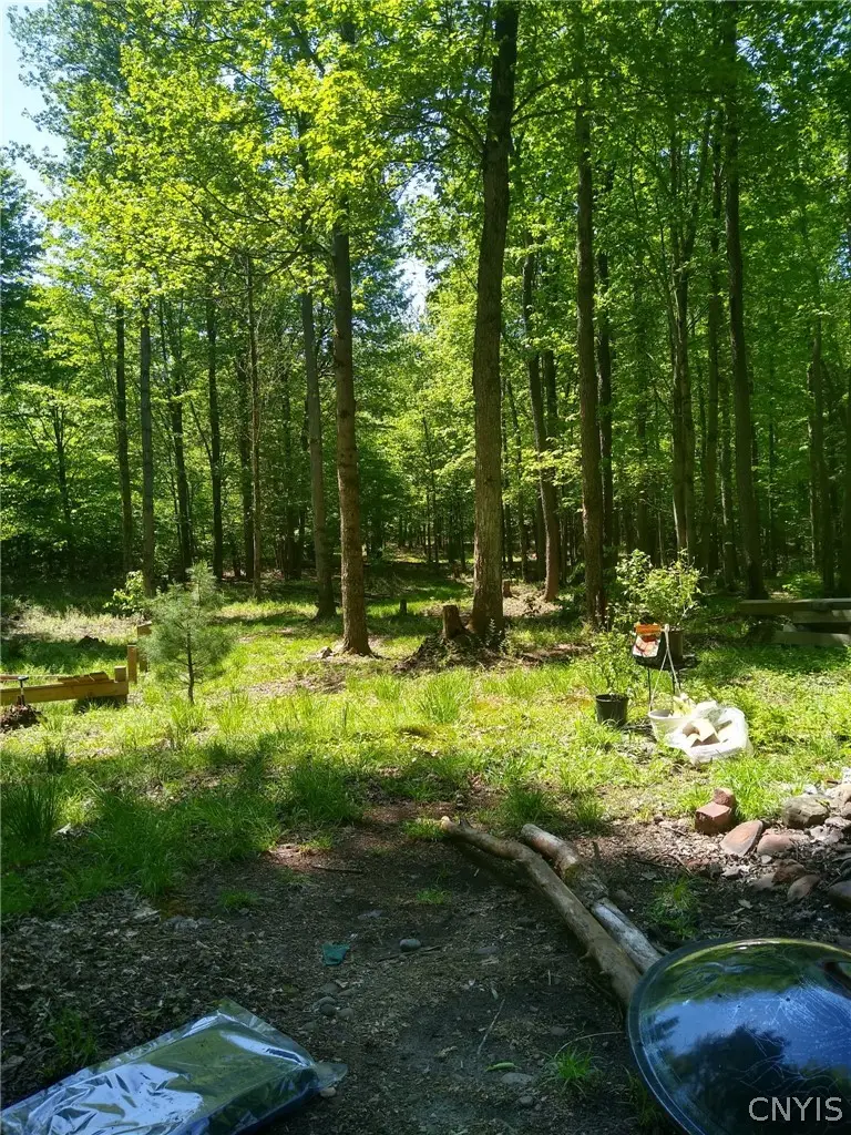 #2 Tamblin Ridge Trail, Bernhards Bay, NY 13028 - #2