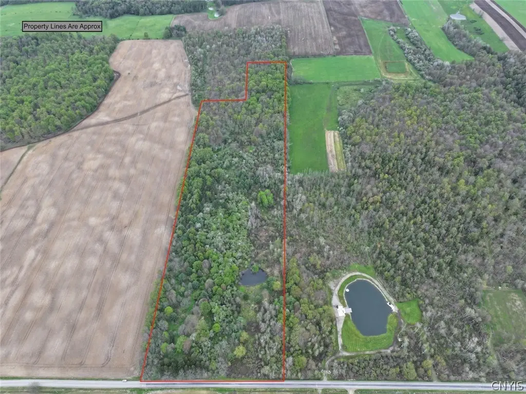 Youngs Road, Conewango Valley, NY 14726 - #1