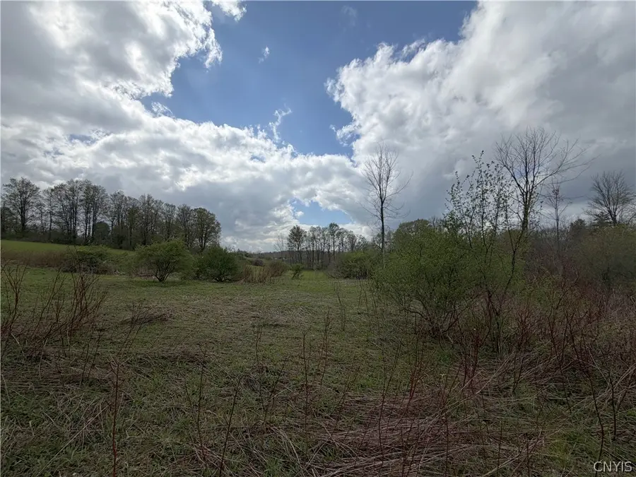 Casler Road, Jordanville, NY 13361 - #2