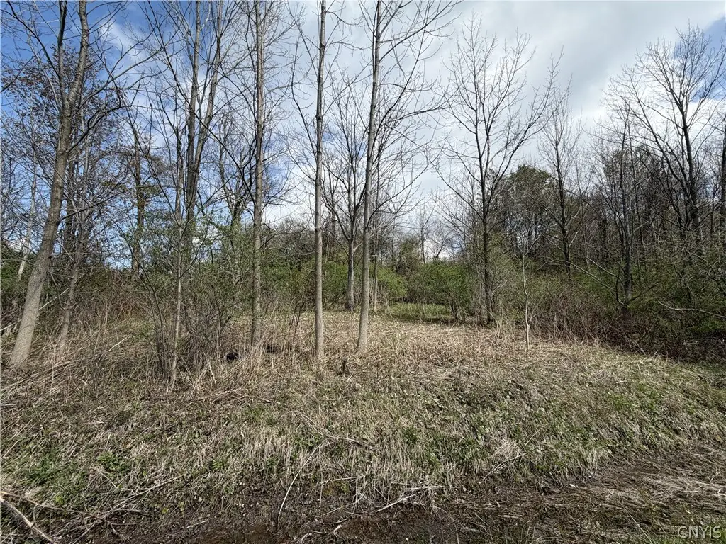 Rt-167, Jordanville, NY 13361 - #1