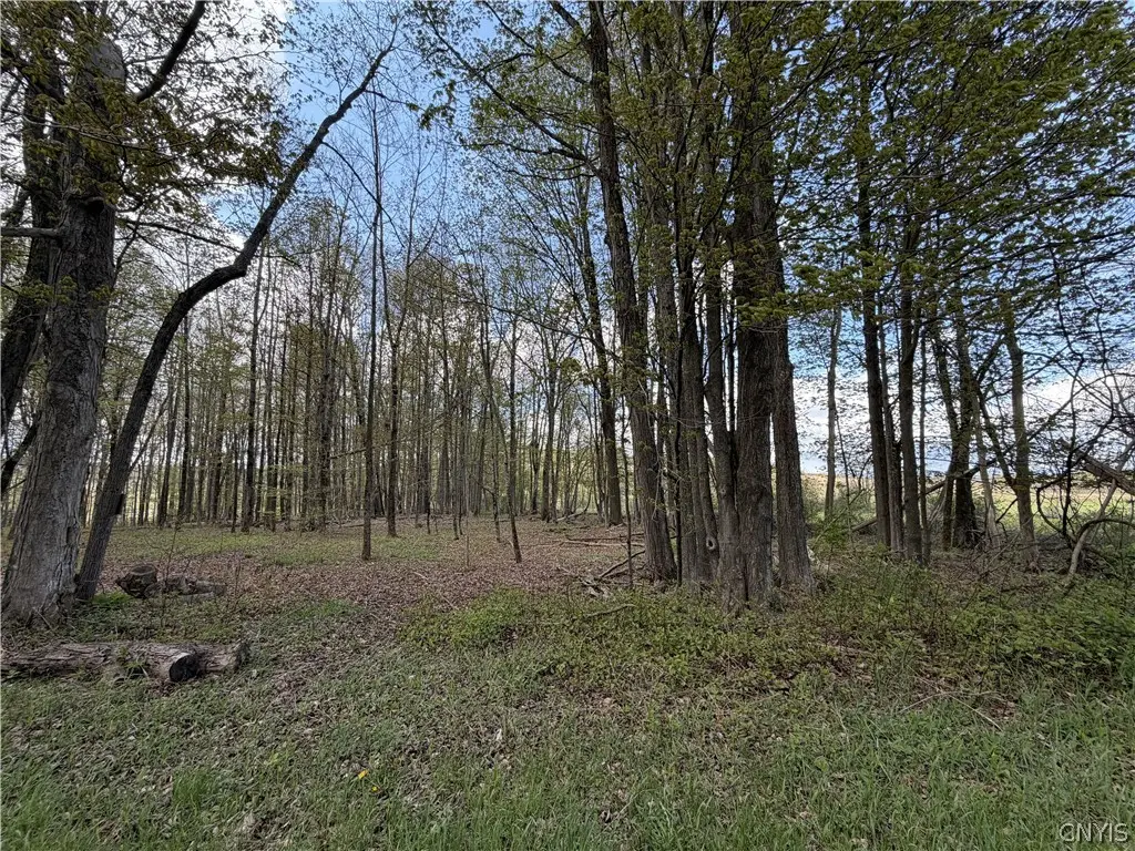 Rt-167, Jordanville, NY 13361 - #1