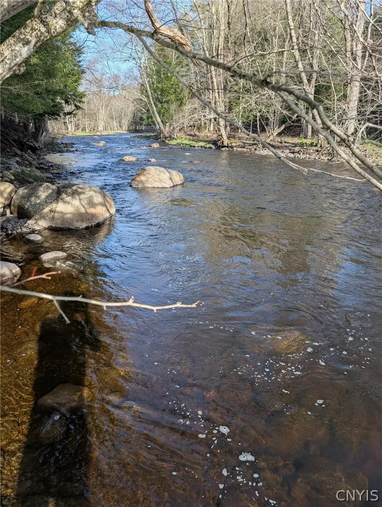 Voorhees Road, Dolgeville, NY 13329 - #1