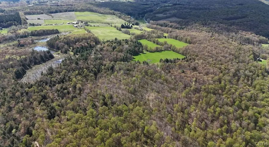 1324 Lake Como Road, Moravia, NY 13118 - #3