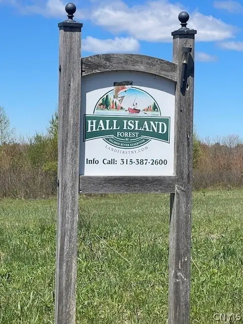 Gay Drive, Williamstown, NY 13302 - #1