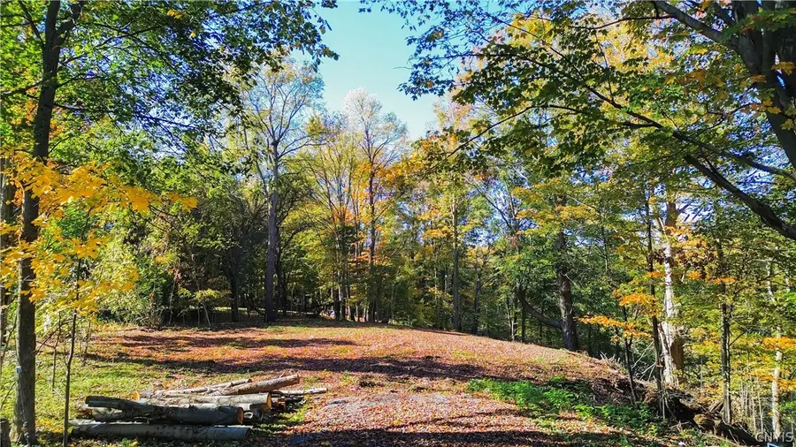 Harrison Avenue, Ilion, NY 13357 - #3