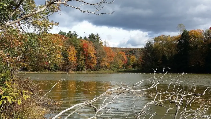 1720 County Route 12, Deruyter, NY 13052 - #2