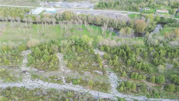 Lot 4 Thompson Trail Drive, Dexter, NY 13634