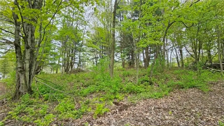Co Rt 2, Richland, NY 13142 - #3