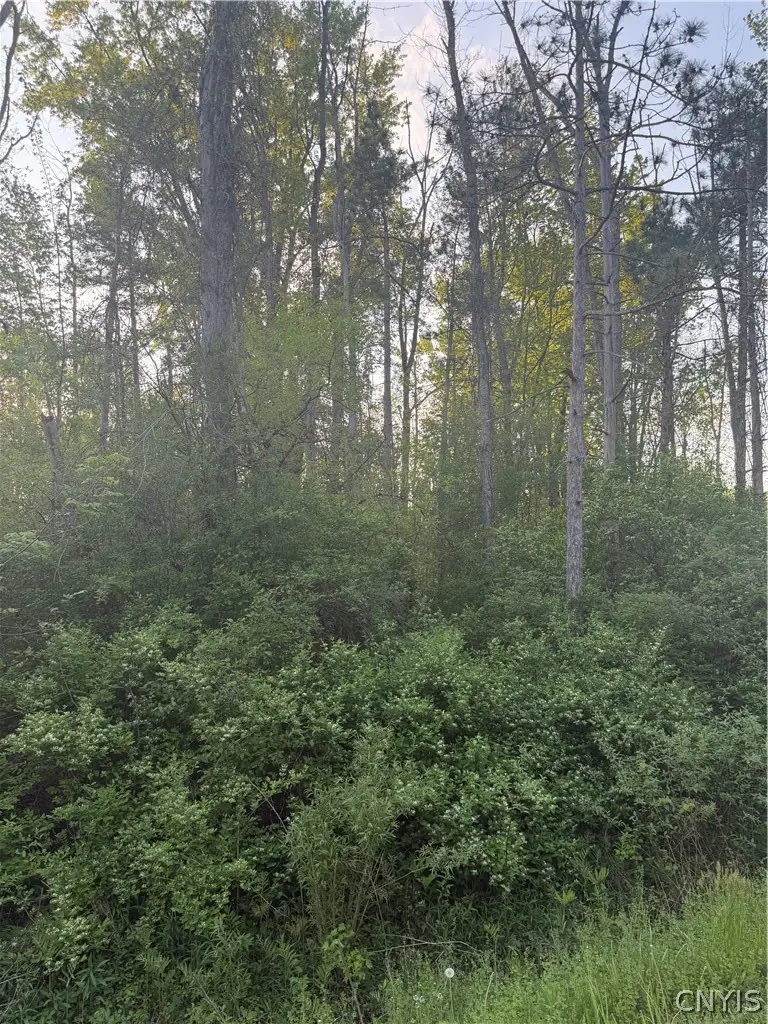 Miner Road, Bridgeport, NY 13030 - #1
