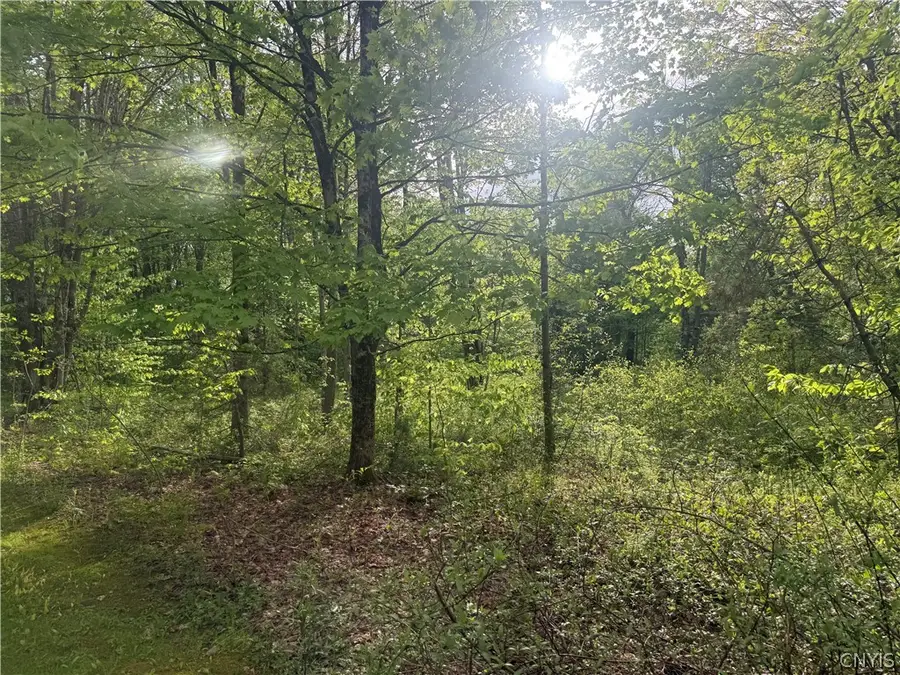 Lot #9 Lost Ridge Road #9, Camden, NY 13316 - #2