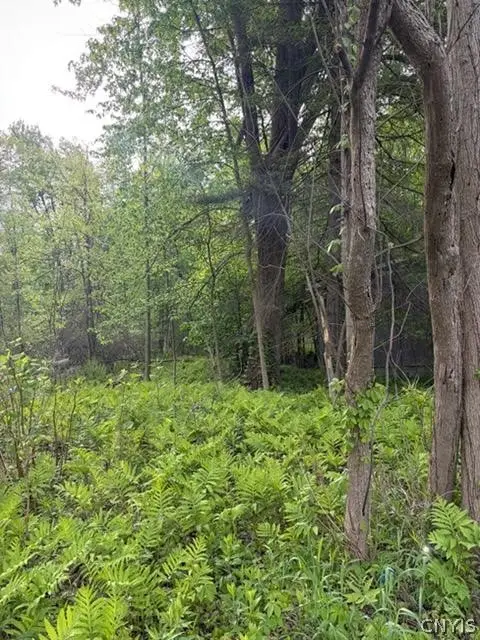 Rt-13 E, Blossvale, NY 13308 - #3