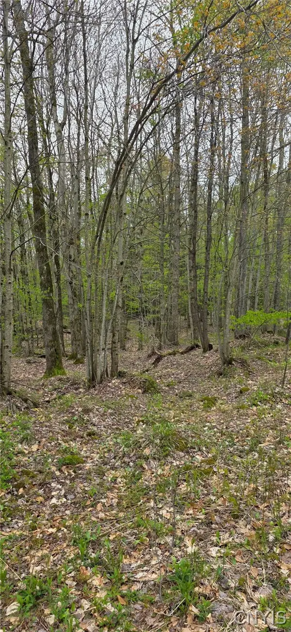 Steelhead Lane, Williamstown, NY 13493