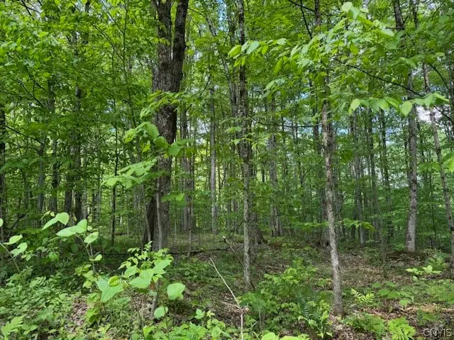Harris Road, Cincinnatus, NY 13040 - #2