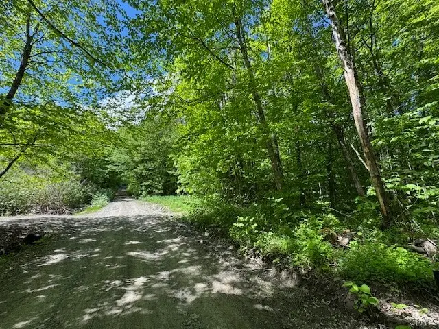 Harris Road, Cincinnatus, NY 13040 - #3
