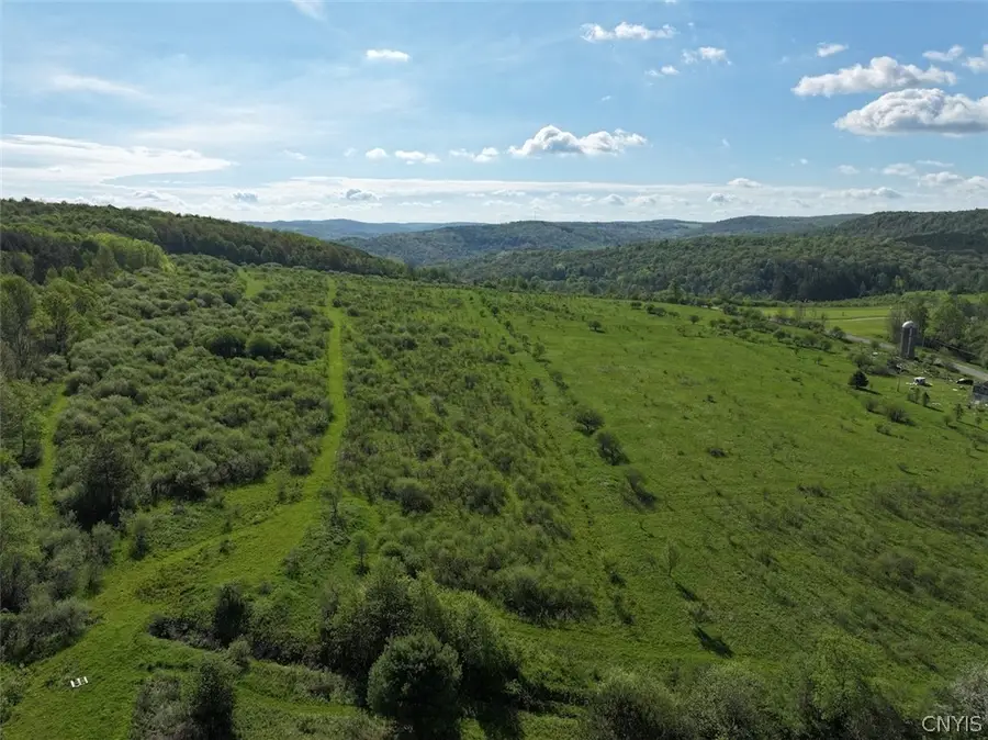 Shaffer Road, Cuba, NY 14727 - #3