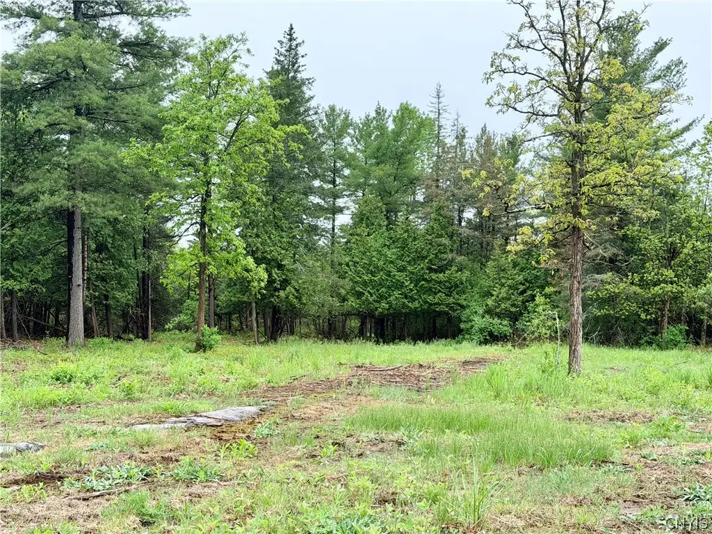County Rte 8, Cape Vincent, NY 13618 - #1