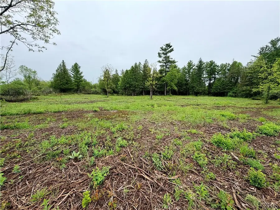County Rte 8, Cape Vincent, NY 13618 - #3