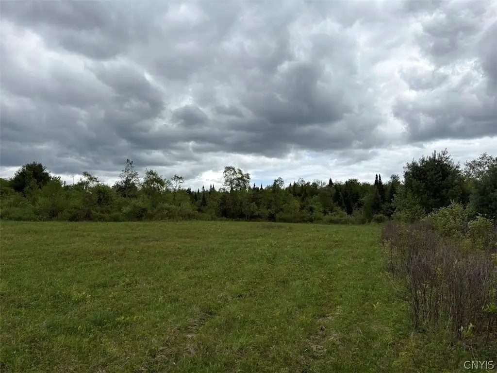 Rt-8, Cold Brook, NY 13324 - #1