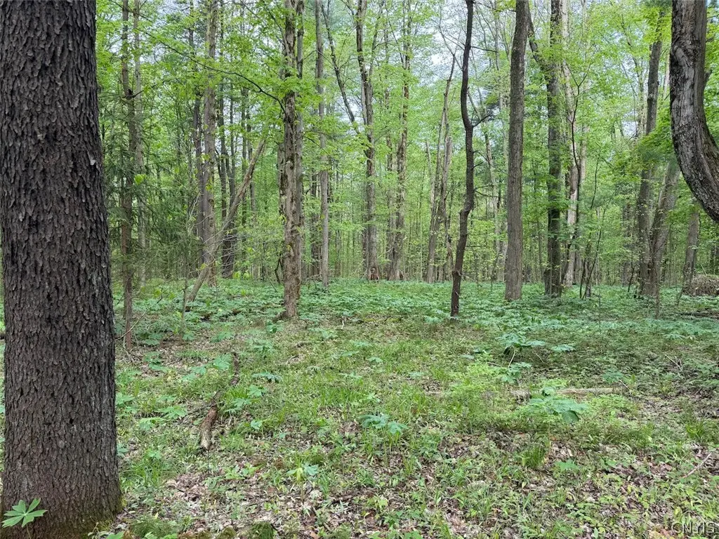Kellogg Hill Road, South Dayton, NY 14138 - #1