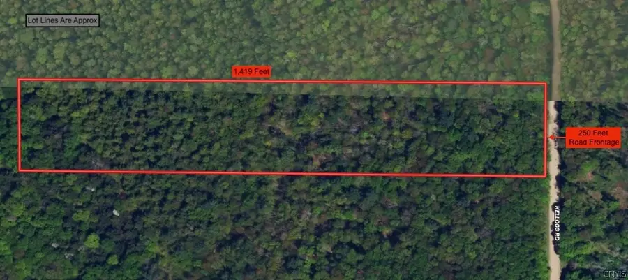 Kellogg Hill Road, South Dayton, NY 14138 - #2