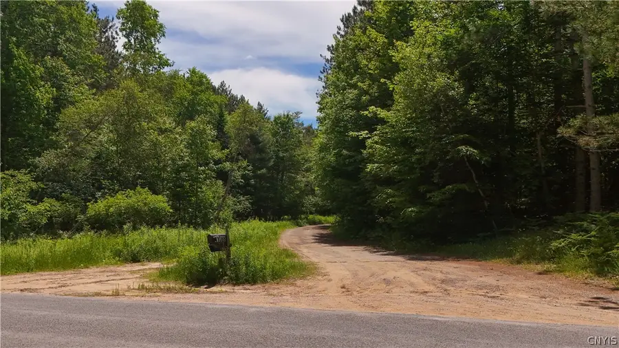 Bellingertown Road, Forestport, NY 13338 - #2