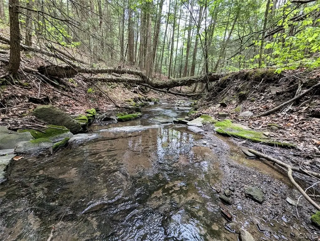 Stewart Road, Addison, NY 14801 - #1