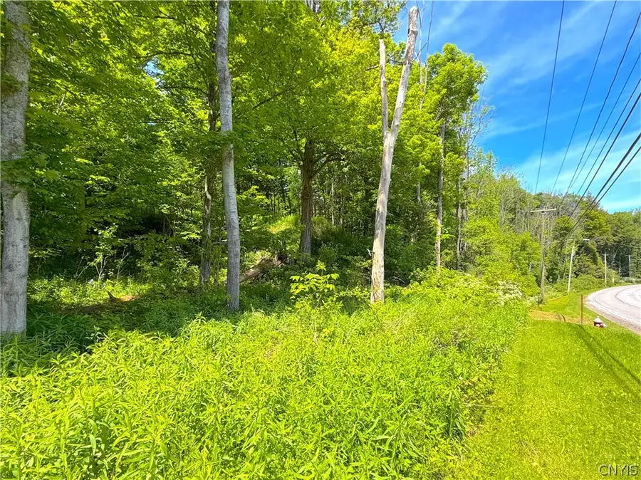 0 Main Street, Clayville, NY 13322 - #2